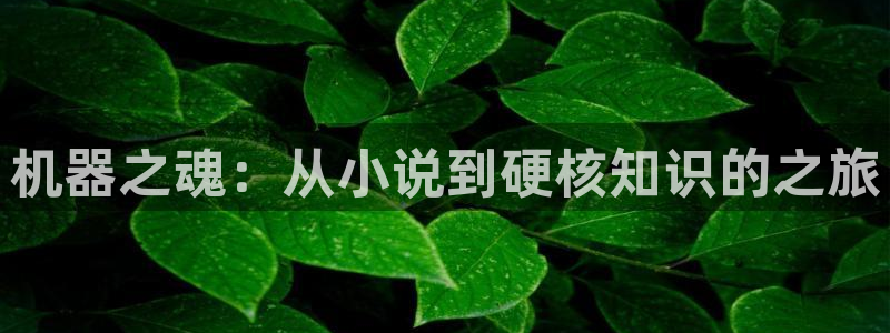 午夜小说免费