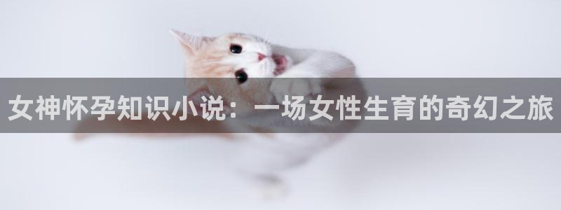 海量午夜小说：女神怀孕知识小说：一场女性生育的奇幻之旅