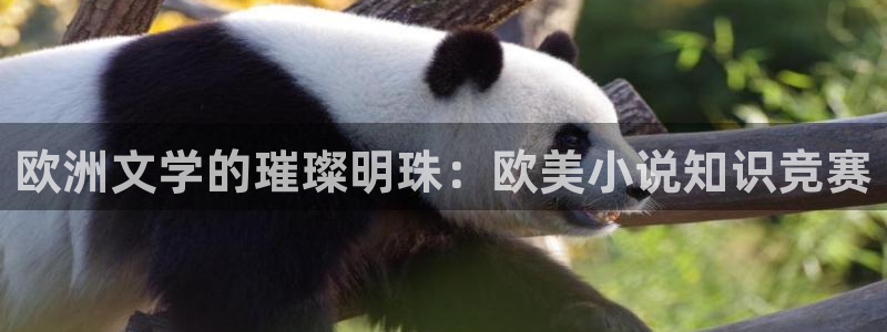 午夜小说在线观看：欧洲文学的璀璨明珠：欧美小说知识竞赛
